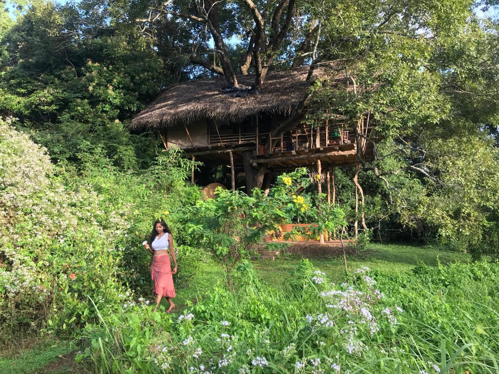 Back Of Beyond - Wild Haven Villa Sigiriya Exterior foto