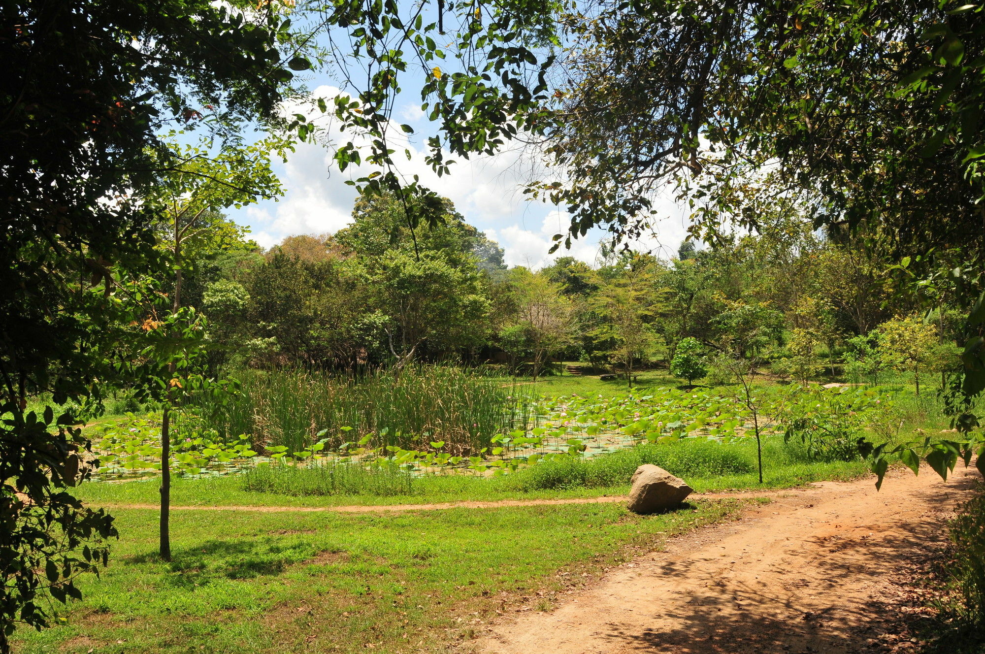 Back Of Beyond - Wild Haven Villa Sigiriya Exterior foto